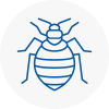 Bed Bug Extermination In Wellesbourne